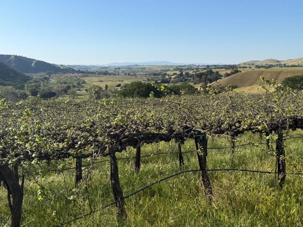 Image 30 of property listing at 0 Airline Highway, Tres Pinos, CA 95075