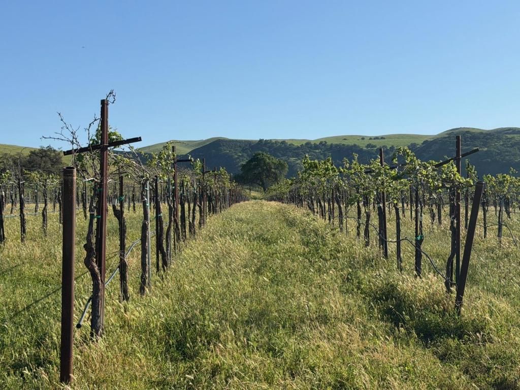 Image 31 of property listing at 0 Airline Highway, Tres Pinos, CA 95075