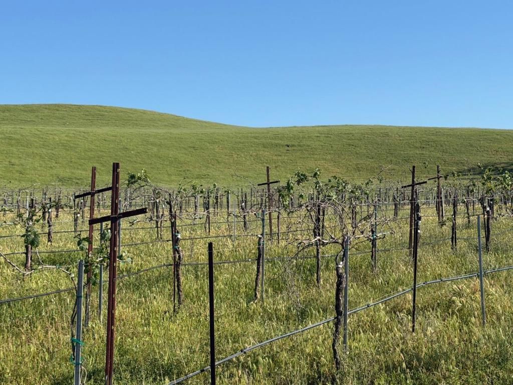 Image 32 of property listing at 0 Airline Highway, Tres Pinos, CA 95075