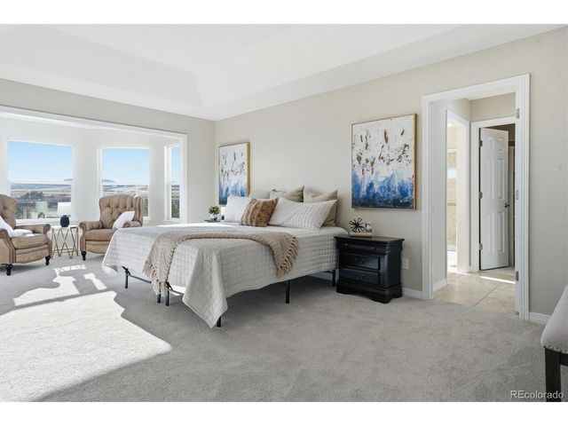 458 Crosshaven Pl, Castle Rock, CO 80104