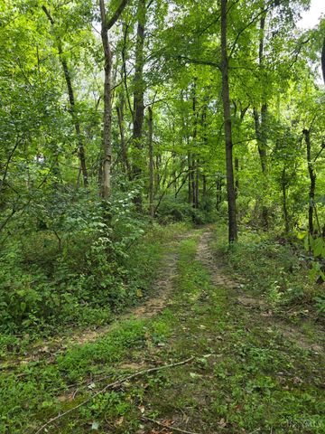 0 Fagins Run Road, Pierce Twp, OH 45157