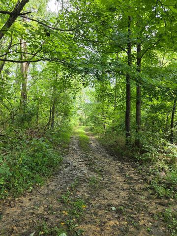 0 Fagins Run Road, Pierce Twp, OH 45157