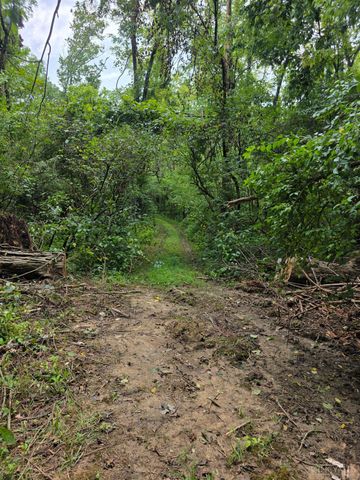 0 Fagins Run Road, Pierce Twp, OH 45157
