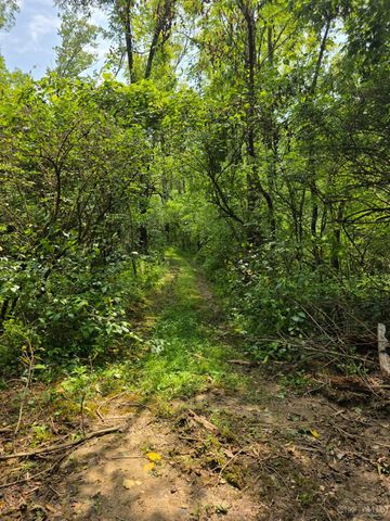 0 Fagins Run Road, Pierce Twp, OH 45157