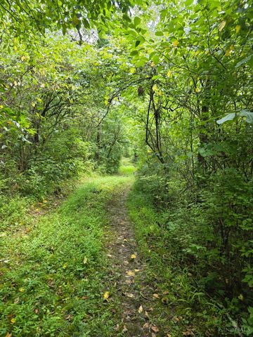 0 Fagins Run Road, Pierce Twp, OH 45157