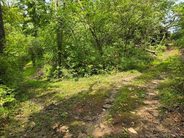 0 Fagins Run Road, Pierce Twp, OH 45157