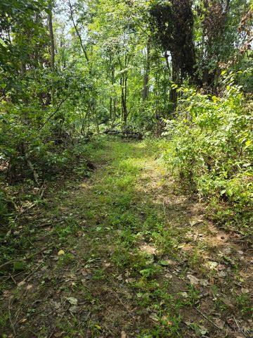 0 Fagins Run Road, Pierce Twp, OH 45157