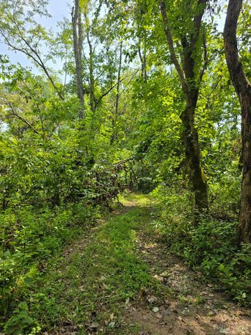 0 Fagins Run Road, Pierce Twp, OH 45157