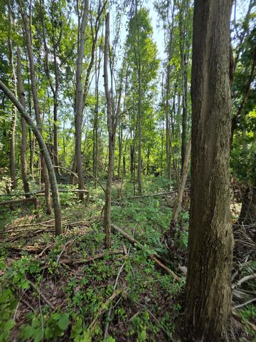 0 Fagins Run Road, Pierce Twp, OH 45157