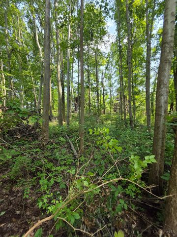 0 Fagins Run Road, Pierce Twp, OH 45157