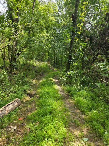 0 Fagins Run Road, Pierce Twp, OH 45157