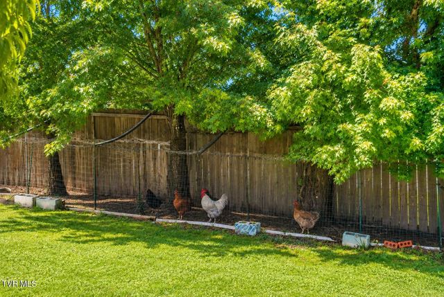 225 Shaw Road, Chuckey, TN 37641