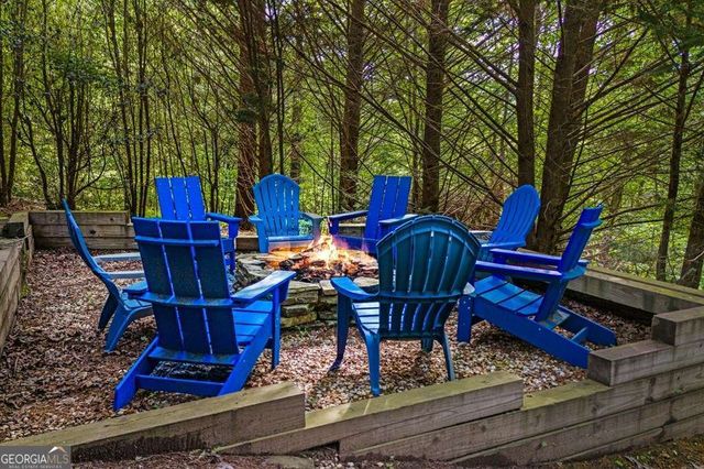 98 Toccoa Overlook Drive, Blue Ridge, GA 30513