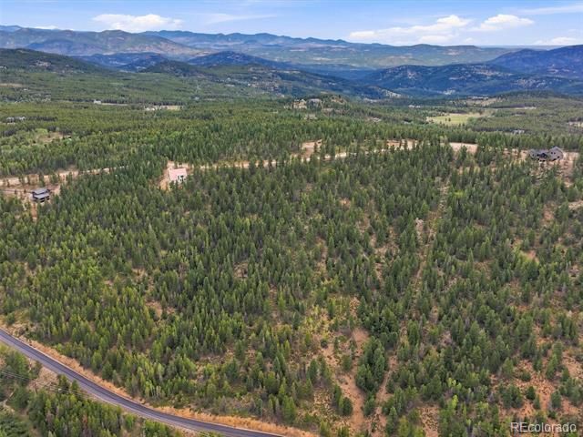 31004 Forest Shadow Trail, Conifer, CO 80433
