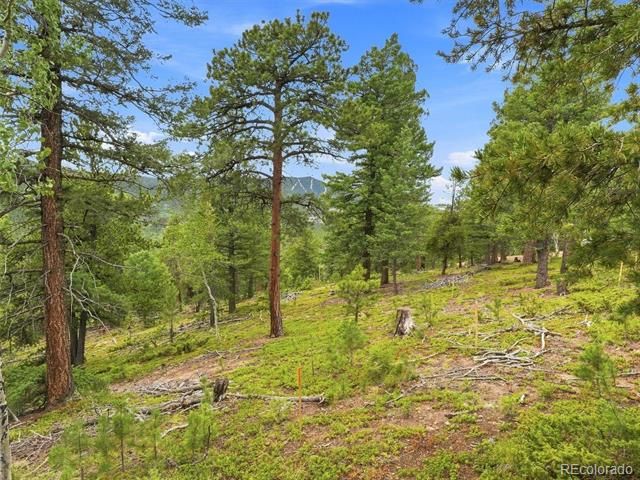 31004 Forest Shadow Trail, Conifer, CO 80433
