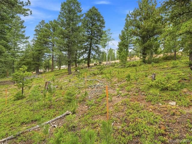 31004 Forest Shadow Trail, Conifer, CO 80433