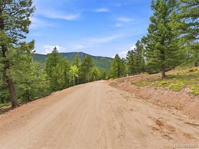 31004 Forest Shadow Trail, Conifer, CO 80433