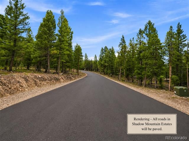 31004 Forest Shadow Trail, Conifer, CO 80433