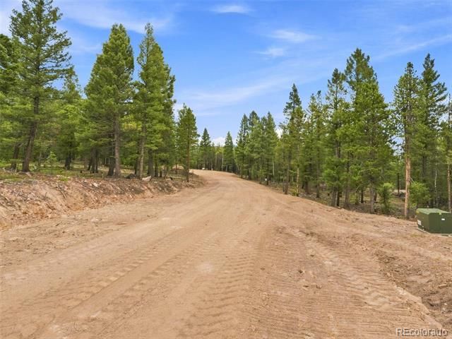 31004 Forest Shadow Trail, Conifer, CO 80433