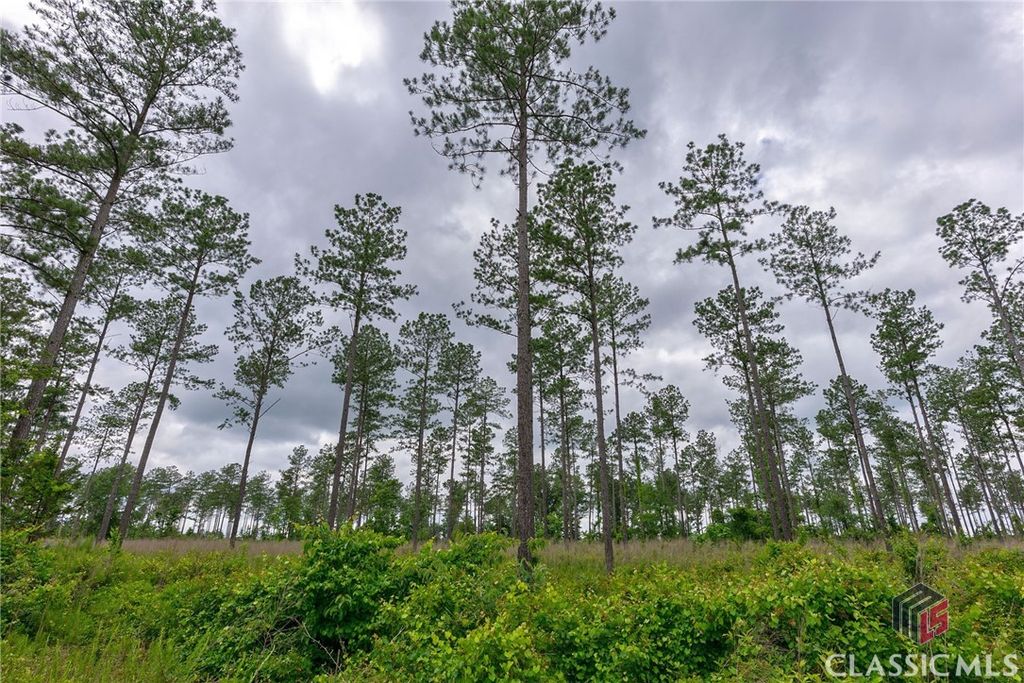 2 McWhorter Road, Stephens, GA 30667
