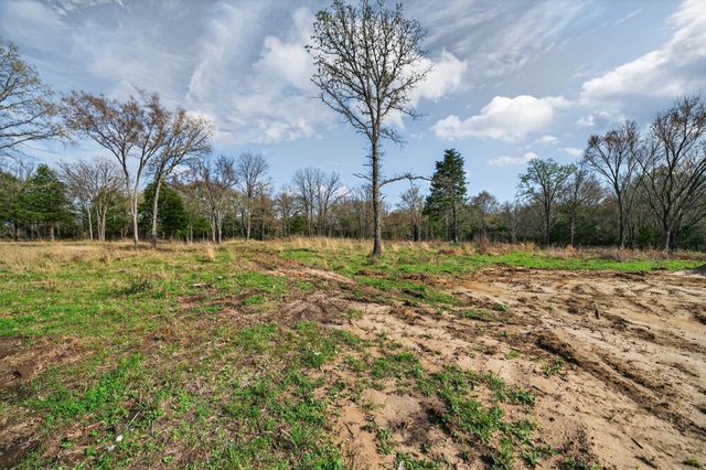 10895 Catfish Drive, Wills Point, TX 75474