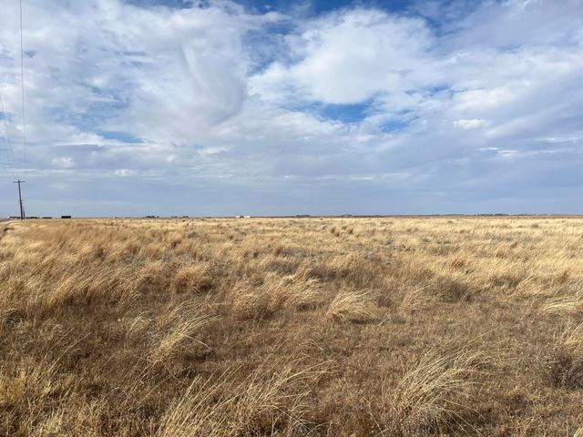 0 FM 1317, New Home, TX 79383