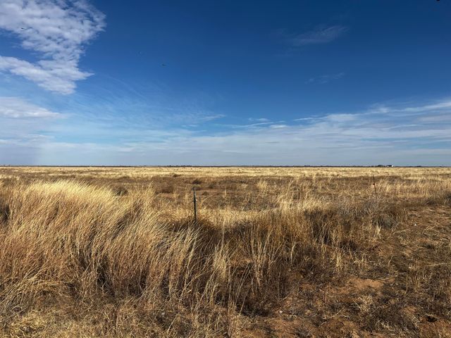 0 FM 1317, New Home, TX 79383