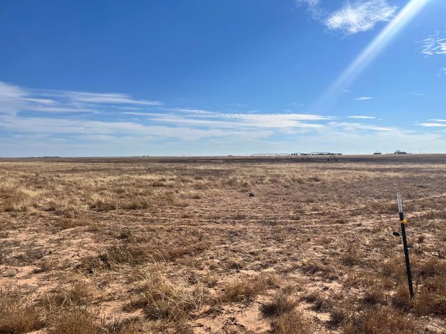 0 FM 1317, New Home, TX 79383