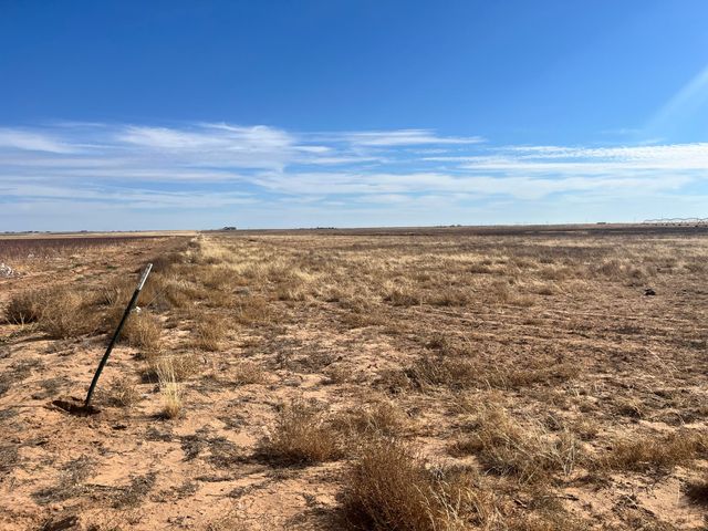 0 FM 1317, New Home, TX 79383