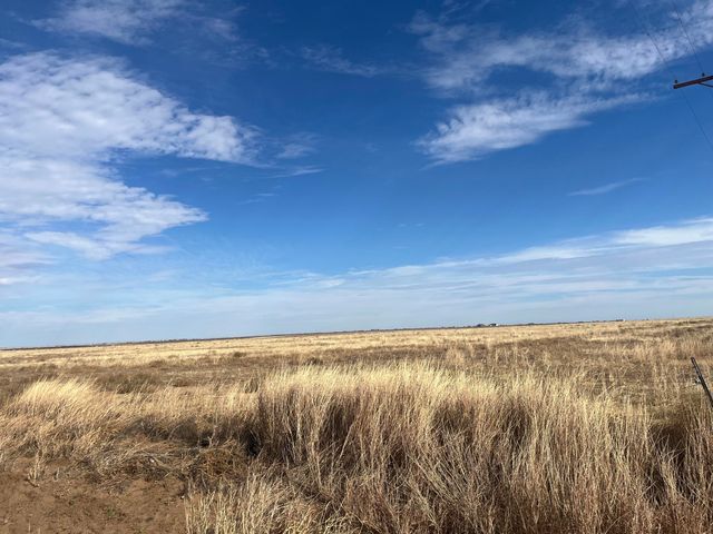 0 FM 1317, New Home, TX 79383