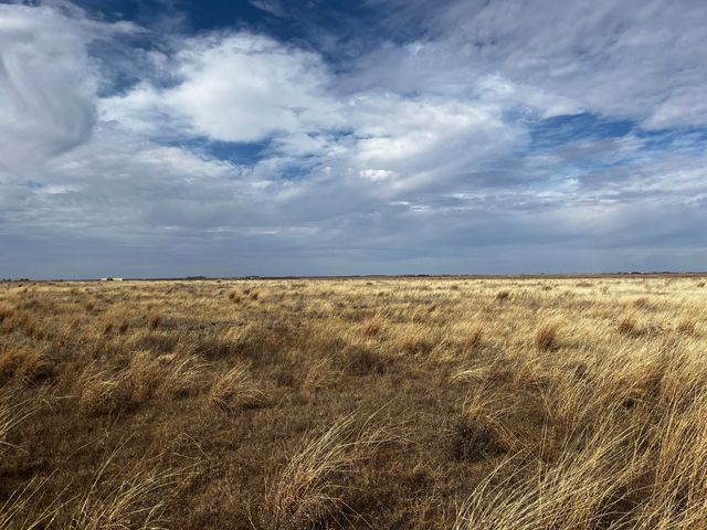 0 FM 1317, New Home, TX 79383