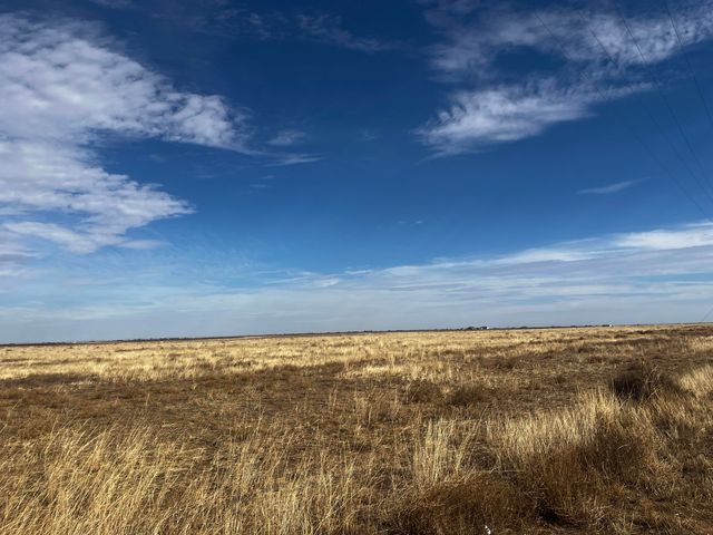 0 FM 1317, New Home, TX 79383