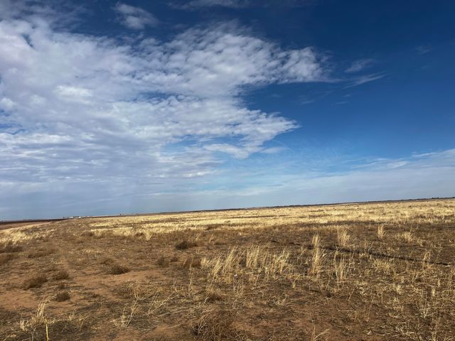 0 FM 1317, New Home, TX 79383