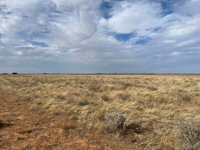 0 FM 1317, New Home, TX 79383