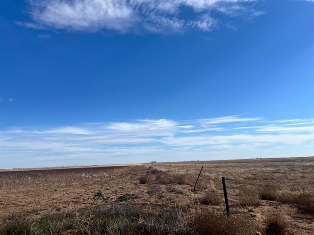 0 FM 1317, New Home, TX 79383