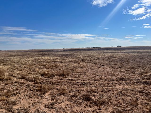 0 FM 1317, New Home, TX 79383