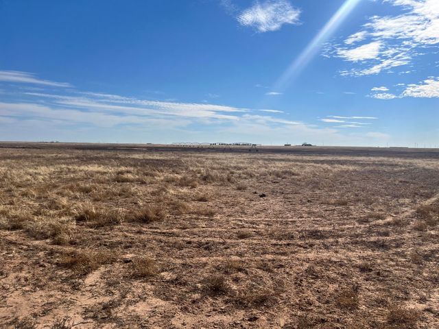 0 FM 1317, New Home, TX 79383