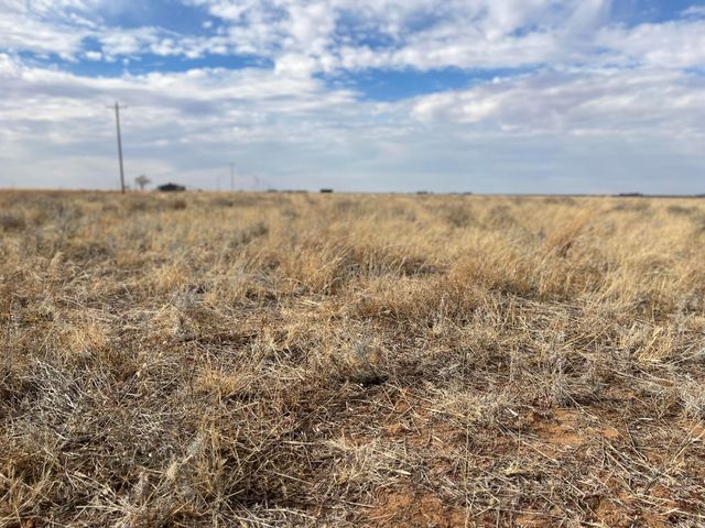 0 FM 1317, New Home, TX 79383