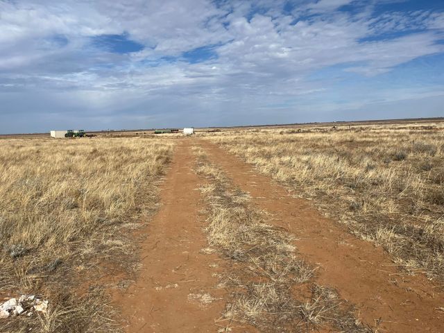 0 FM 1317, New Home, TX 79383