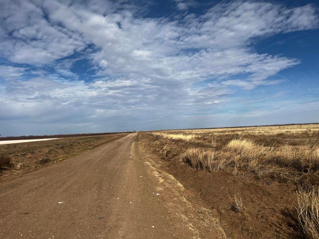 0 FM 1317, New Home, TX 79383