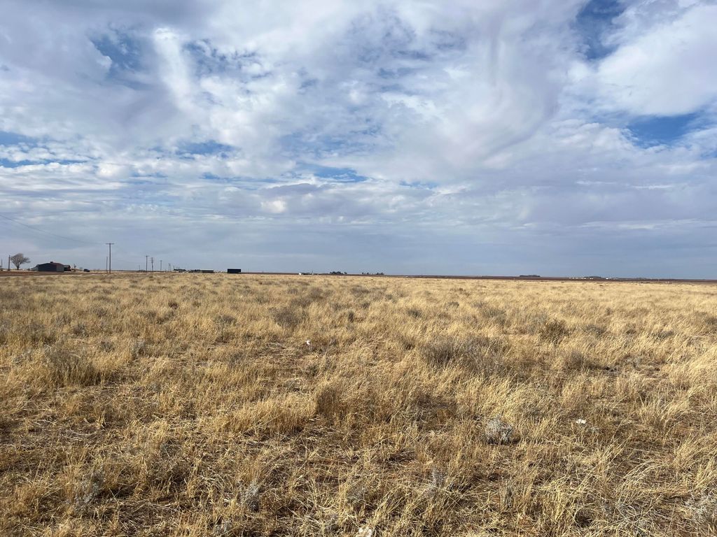 0 FM 1317, New Home, TX 79383