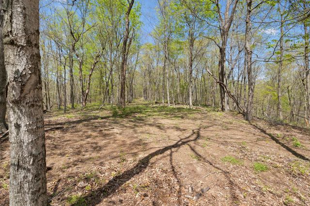 3467 Shouse Rd, Santa Fe, TN 38482