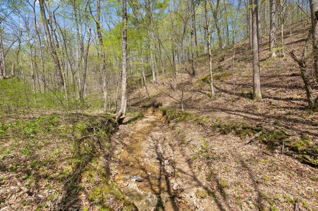 3467 Shouse Rd, Santa Fe, TN 38482