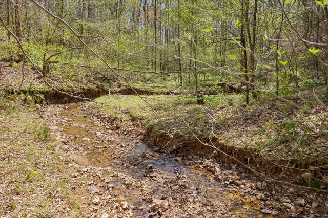 3467 Shouse Rd, Santa Fe, TN 38482