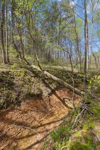 3467 Shouse Rd, Santa Fe, TN 38482