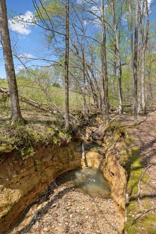 3467 Shouse Rd, Santa Fe, TN 38482