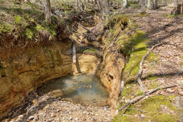 3467 Shouse Rd, Santa Fe, TN 38482