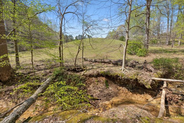 3467 Shouse Rd, Santa Fe, TN 38482