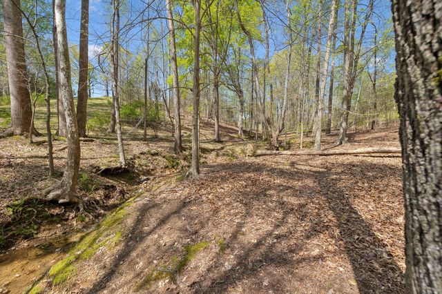 3467 Shouse Rd, Santa Fe, TN 38482