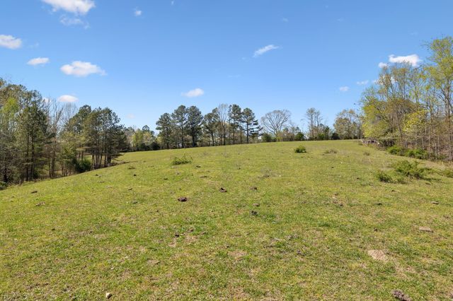 3467 Shouse Rd, Santa Fe, TN 38482